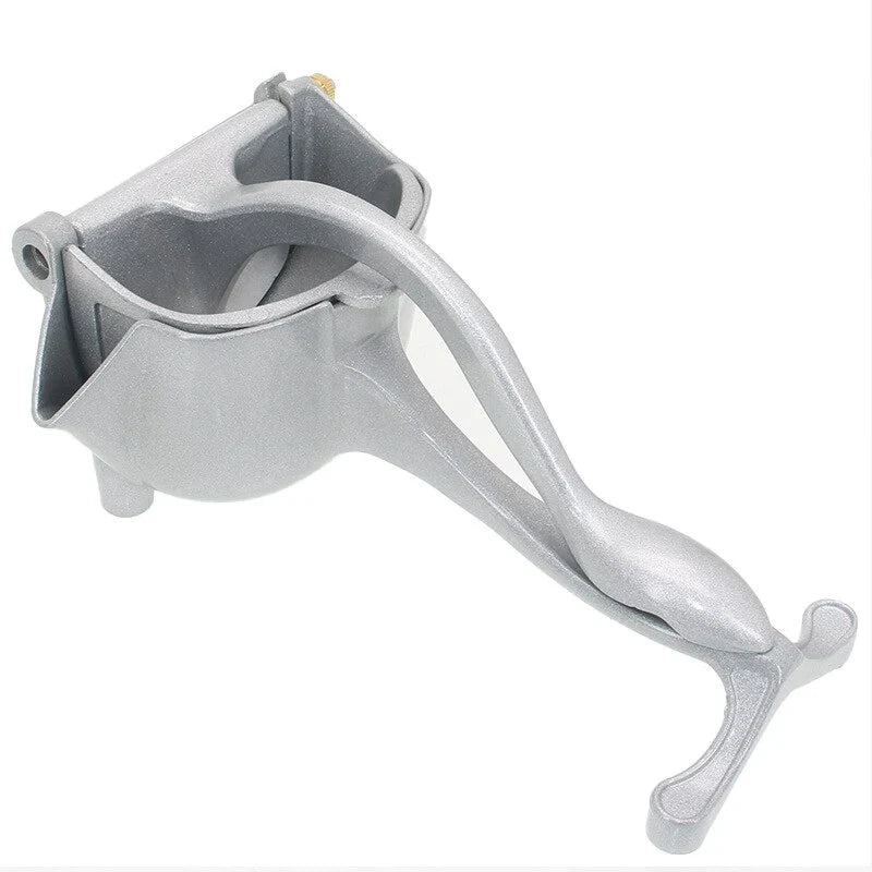 Fresh Fruit Juicer