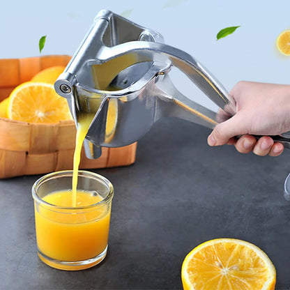 Fresh Fruit Juicer