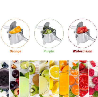 Fresh Fruit Juicer