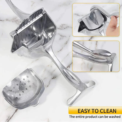 Fresh Fruit Juicer